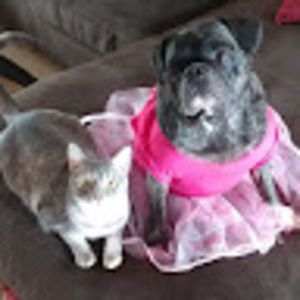 Meet your Posher, Mary anne